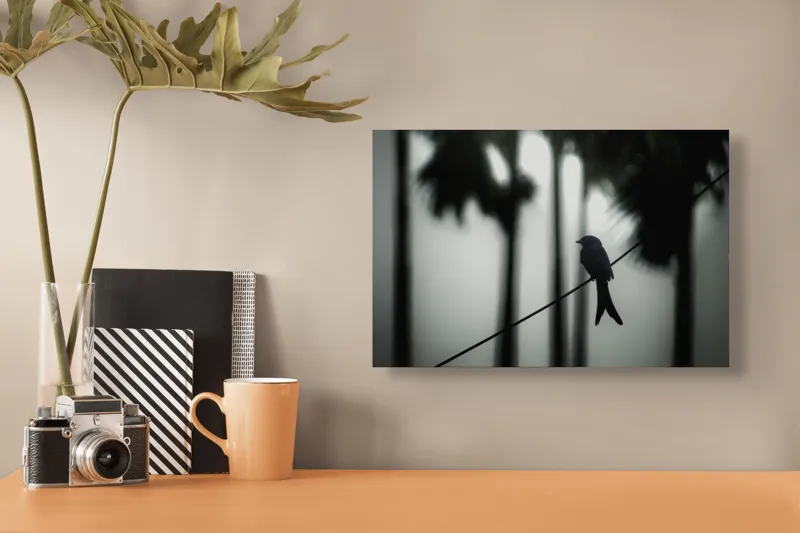 Tablou Canvas, "Pasăre solitară în dimineața cețoasă", Pasăre, Cablu, Siluetă, Arbori, Ceață, Liniște, Contrast, Natură, Mister, Umbre, 39 x 26 cm – poza 3