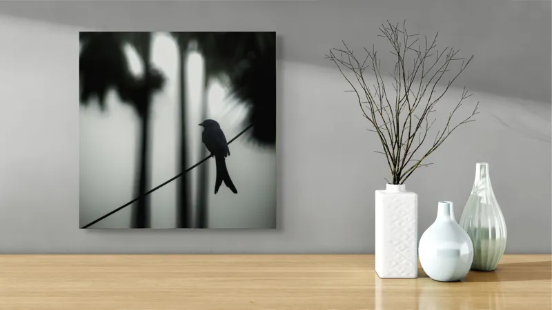 Tablou Canvas, "Pasăre solitară în dimineața cețoasă", Pasăre, Cablu, Siluetă, Arbori, Ceață, Liniște, Contrast, Natură, Mister, Umbre, 50 x 50 cm – poza 3