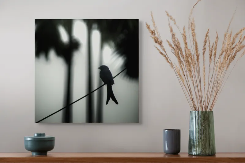 Tablou Canvas, "Pasăre solitară în dimineața cețoasă", Pasăre, Cablu, Siluetă, Arbori, Ceață, Liniște, Contrast, Natură, Mister, Umbre, 50 x 50 cm – poza 4