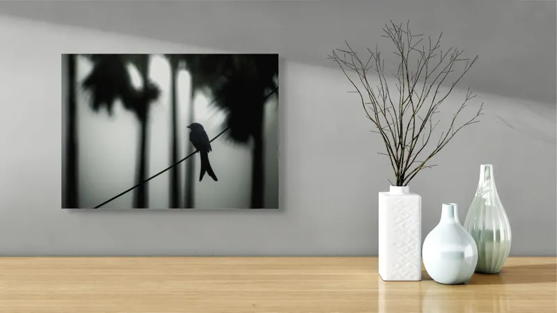 Tablou Canvas, "Pasăre solitară în dimineața cețoasă", Pasăre, Cablu, Siluetă, Arbori, Ceață, Liniște, Contrast, Natură, Mister, Umbre, 54 x 39 cm – poza 3