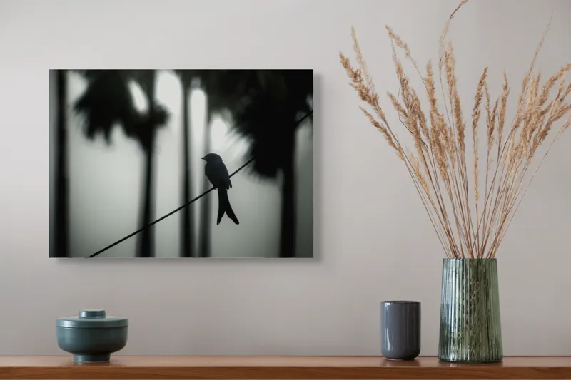 Tablou Canvas, "Pasăre solitară în dimineața cețoasă", Pasăre, Cablu, Siluetă, Arbori, Ceață, Liniște, Contrast, Natură, Mister, Umbre, 54 x 39 cm – poza 4