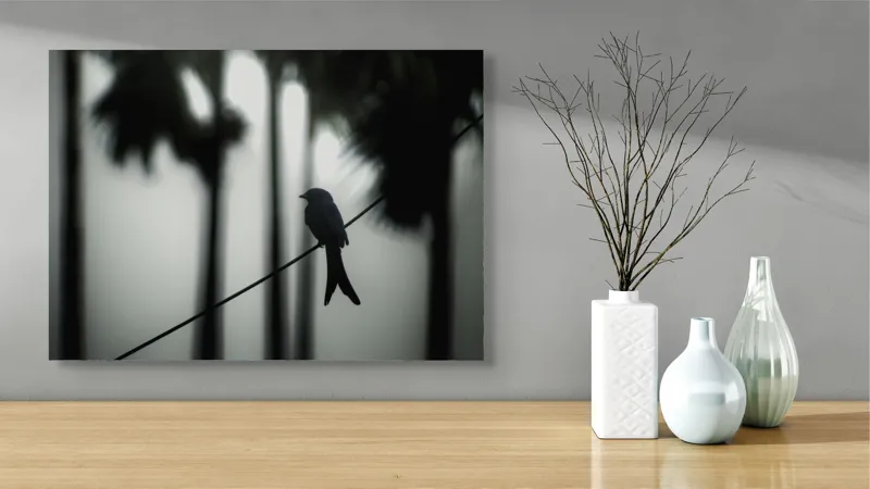 Tablou Canvas, "Pasăre solitară în dimineața cețoasă", Pasăre, Cablu, Siluetă, Arbori, Ceață, Liniște, Contrast, Natură, Mister, Umbre, 70 x 50 cm – poza 3