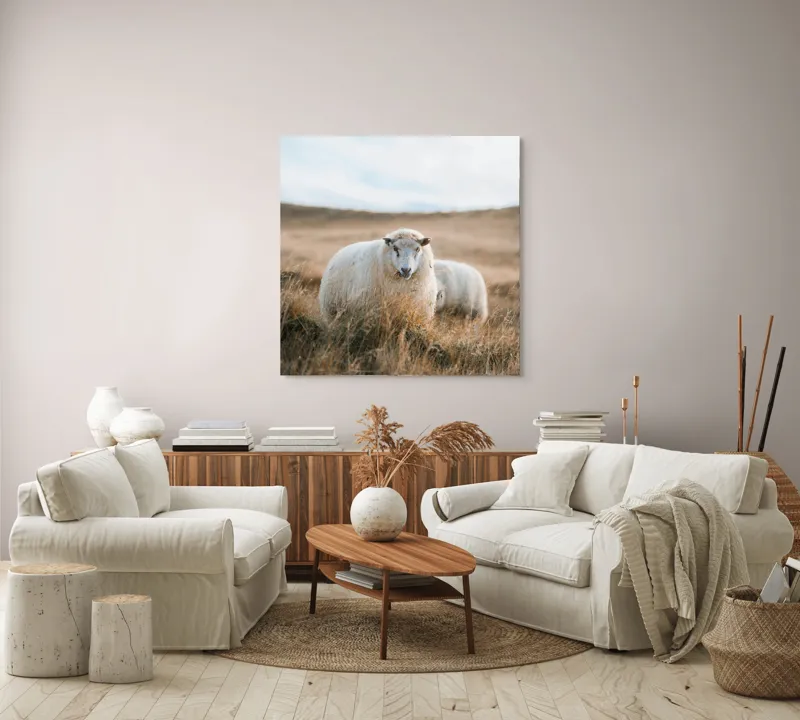 Tablou Canvas, "Miorița rătăcită în câmpia aurie", Oaie, Câmpie, Iarbă, Cer, Natură, Liniște, Blană, Peisaj, 100 x 100 cm – poza 3