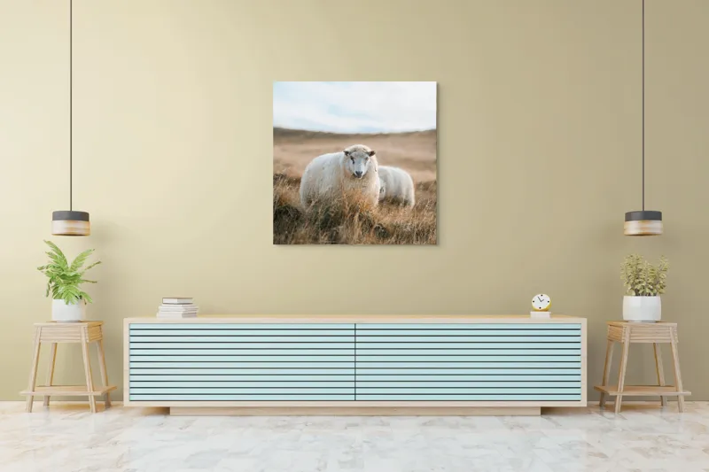 Tablou Canvas, "Miorița rătăcită în câmpia aurie", Oaie, Câmpie, Iarbă, Cer, Natură, Liniște, Blană, Peisaj, 100 x 100 cm – poza 5