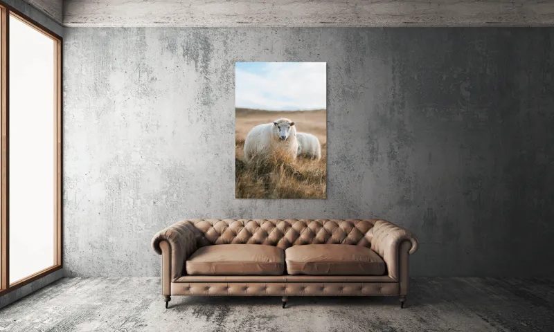 Tablou Canvas, "Miorița rătăcită în câmpia aurie", Oaie, Câmpie, Iarbă, Cer, Natură, Liniște, Blană, Peisaj, 100 x 150 cm – poza 6