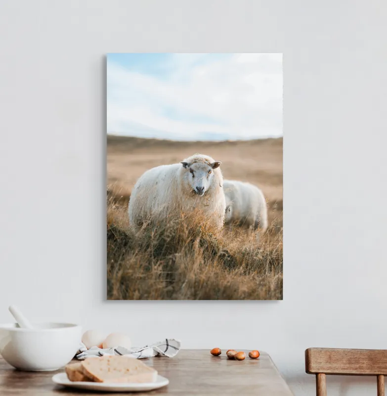 Tablou Canvas, "Miorița rătăcită în câmpia aurie", Oaie, Câmpie, Iarbă, Cer, Natură, Liniște, Blană, Peisaj, 50 x 70 cm – poza 3