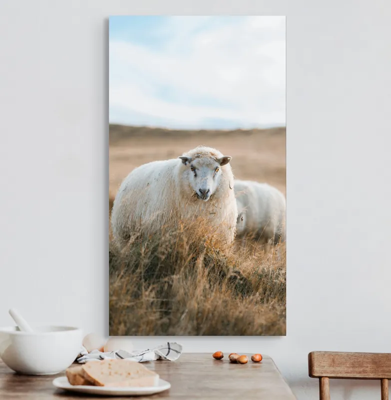 Tablou Canvas, "Miorița rătăcită în câmpia aurie", Oaie, Câmpie, Iarbă, Cer, Natură, Liniște, Blană, Peisaj, 50 x 90 cm – poza 3