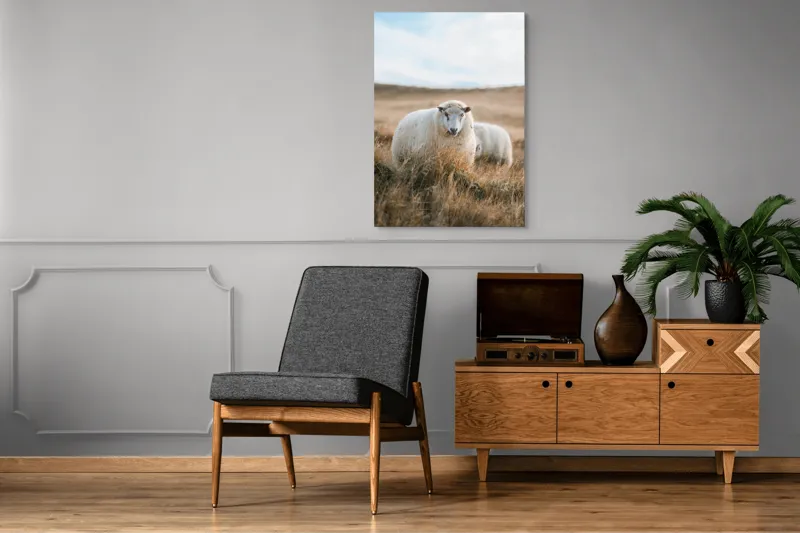 Tablou Canvas, "Miorița rătăcită în câmpia aurie", Oaie, Câmpie, Iarbă, Cer, Natură, Liniște, Blană, Peisaj, 70 x 100 cm – poza 6
