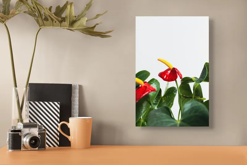 Tablou Canvas, "Flori tropicale în grădina verde", Roșu, Strălucitor, Lucios, Frunziș, Verde, Contrast, Elegant, Natural, Proaspăt, 26 x 39 cm – poza 3