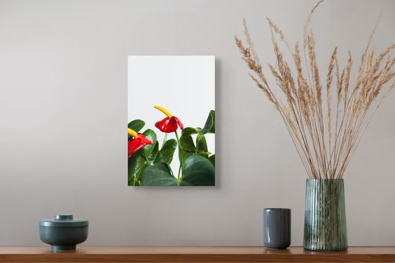 Tablou Canvas, "Flori tropicale în grădina verde", Roșu, Strălucitor, Lucios, Frunziș, Verde, Contrast, Elegant, Natural, Proaspăt, 26 x 39 cm – poza 5