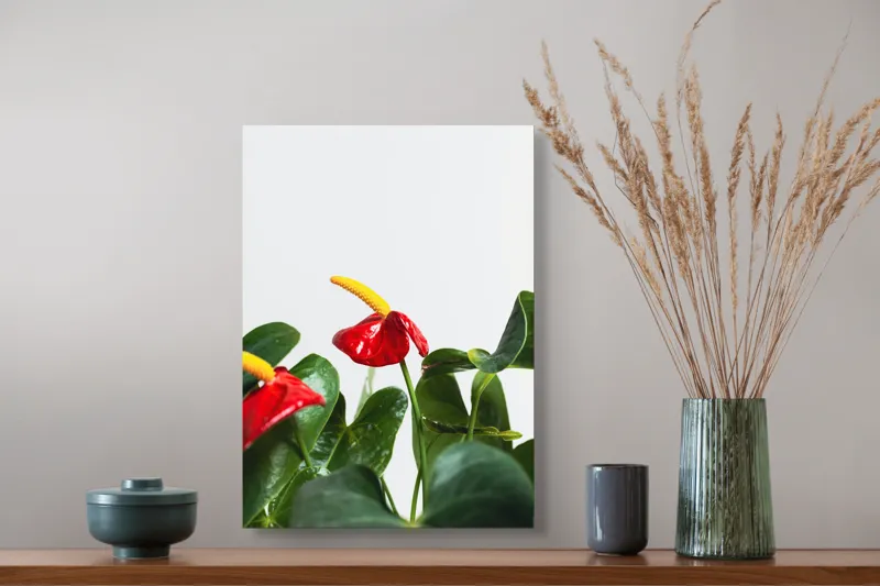 Tablou Canvas, "Flori tropicale în grădina verde", Roșu, Strălucitor, Lucios, Frunziș, Verde, Contrast, Elegant, Natural, Proaspăt, 39 x 54 cm – poza 3