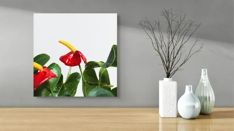 Tablou Canvas, "Flori tropicale în grădina verde", Roșu, Strălucitor, Lucios, Frunziș, Verde, Contrast, Elegant, Natural, Proaspăt, 50 x 50 cm – poza 3