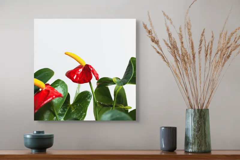 Tablou Canvas, "Flori tropicale în grădina verde", Roșu, Strălucitor, Lucios, Frunziș, Verde, Contrast, Elegant, Natural, Proaspăt, 50 x 50 cm – poza 4