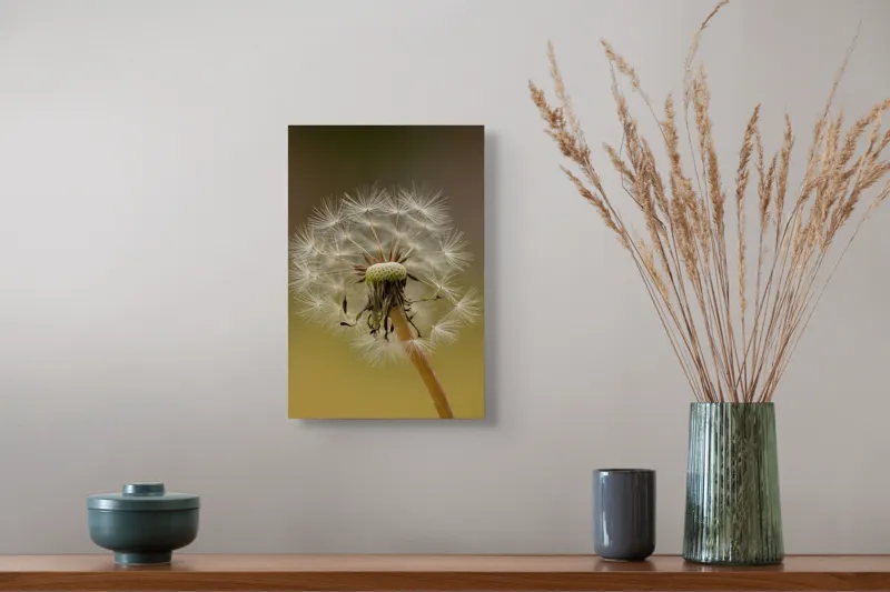 Tablou Canvas, "Visul pufului de păpădie", Delicat, Fragil, Natură, Speranță, Transformare, 26 x 39 cm – poza 5