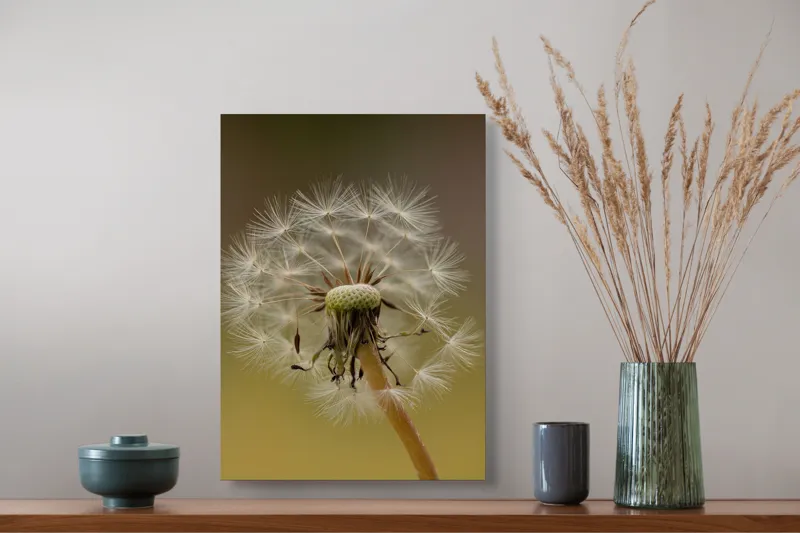 Tablou Canvas, "Visul pufului de păpădie", Delicat, Fragil, Natură, Speranță, Transformare, 39 x 54 cm – poza 3