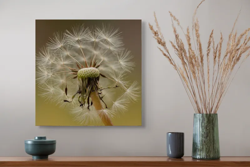 Tablou Canvas, "Visul pufului de păpădie", Delicat, Fragil, Natură, Speranță, Transformare, 50 x 50 cm – poza 4