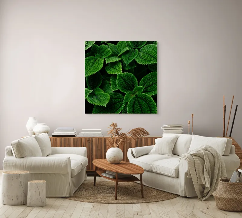 Tablou Canvas, "Frumusețea ascunsă a frunzelor verzi", Frunze, Verde, Textură, Natură, Detalii, Viu, Frumusețe, Vegetație, Lumină, Proaspăt, 100 x 100 cm – poza 3