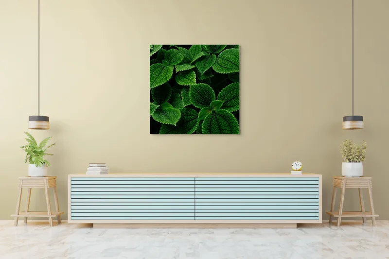 Tablou Canvas, "Frumusețea ascunsă a frunzelor verzi", Frunze, Verde, Textură, Natură, Detalii, Viu, Frumusețe, Vegetație, Lumină, Proaspăt, 100 x 100 cm – poza 5