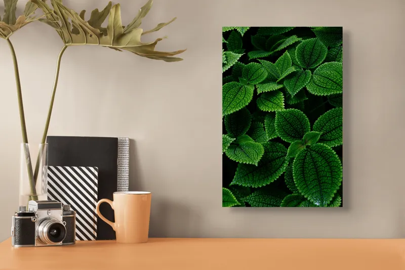 Tablou Canvas, "Frumusețea ascunsă a frunzelor verzi", Frunze, Verde, Textură, Natură, Detalii, Viu, Frumusețe, Vegetație, Lumină, Proaspăt, 26 x 39 cm – poza 3