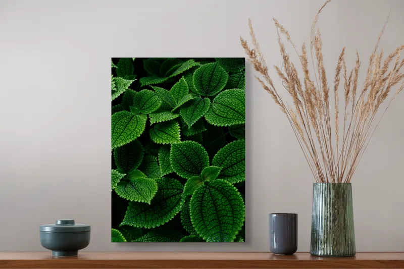 Tablou Canvas, "Frumusețea ascunsă a frunzelor verzi", Frunze, Verde, Textură, Natură, Detalii, Viu, Frumusețe, Vegetație, Lumină, Proaspăt, 39 x 54 cm – poza 3