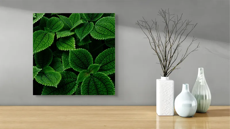 Tablou Canvas, "Frumusețea ascunsă a frunzelor verzi", Frunze, Verde, Textură, Natură, Detalii, Viu, Frumusețe, Vegetație, Lumină, Proaspăt, 50 x 50 cm – poza 3