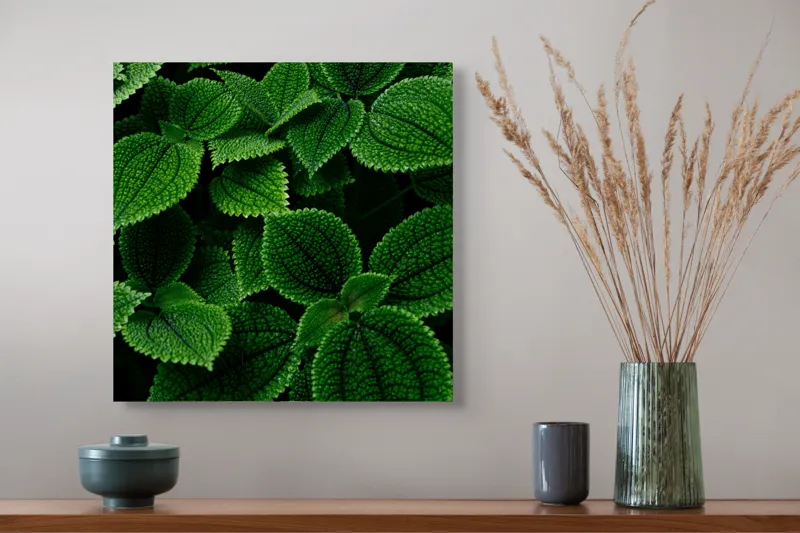 Tablou Canvas, "Frumusețea ascunsă a frunzelor verzi", Frunze, Verde, Textură, Natură, Detalii, Viu, Frumusețe, Vegetație, Lumină, Proaspăt, 50 x 50 cm – poza 4