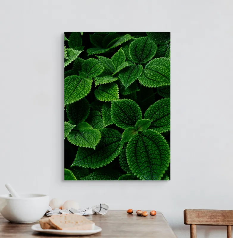 Tablou Canvas, "Frumusețea ascunsă a frunzelor verzi", Frunze, Verde, Textură, Natură, Detalii, Viu, Frumusețe, Vegetație, Lumină, Proaspăt, 50 x 70 cm – poza 3