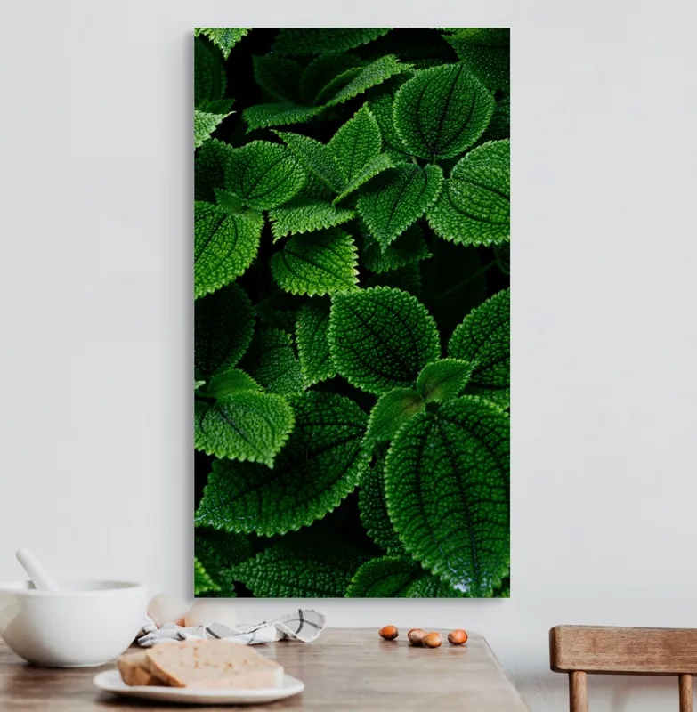 Tablou Canvas, "Frumusețea ascunsă a frunzelor verzi", Frunze, Verde, Textură, Natură, Detalii, Viu, Frumusețe, Vegetație, Lumină, Proaspăt, 50 x 90 cm – poza 3