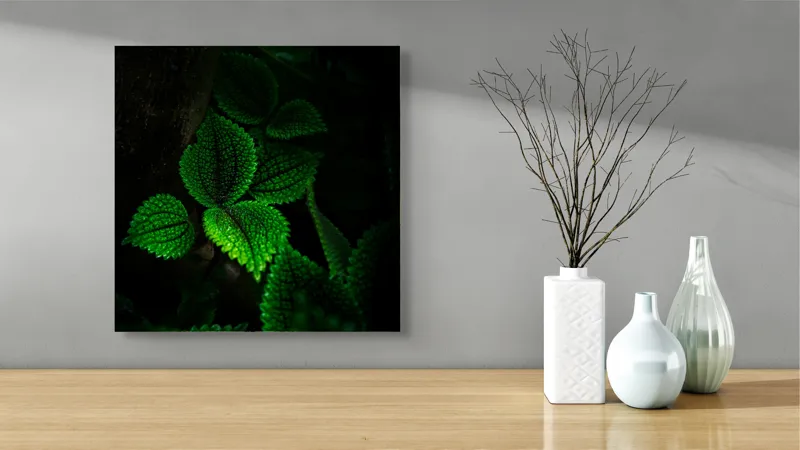 Tablou Canvas, "Frunzele misterului în umbra pădurii", Verde, Frunze, Lumină, Textură, Umbră, Natură, Vitalitate, 50 x 50 cm – poza 3