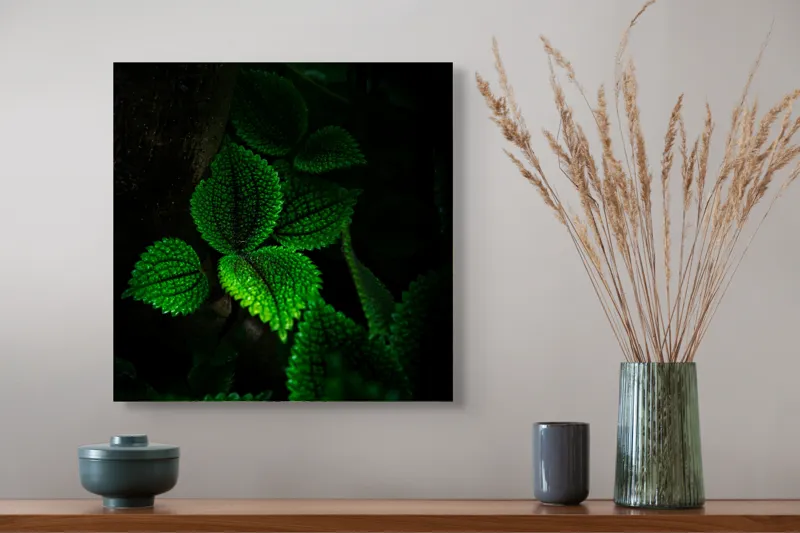 Tablou Canvas, "Frunzele misterului în umbra pădurii", Verde, Frunze, Lumină, Textură, Umbră, Natură, Vitalitate, 50 x 50 cm – poza 4