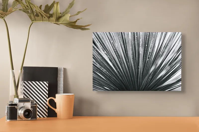 Tablou Canvas, "Frunze de palmier în zori gri", Radiant, Linear, Symmetrical, Textured, Organic, 39 x 26 cm – poza 3