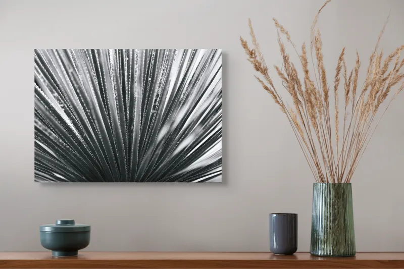 Tablou Canvas, "Frunze de palmier în zori gri", Radiant, Linear, Symmetrical, Textured, Organic, 54 x 39 cm – poza 4