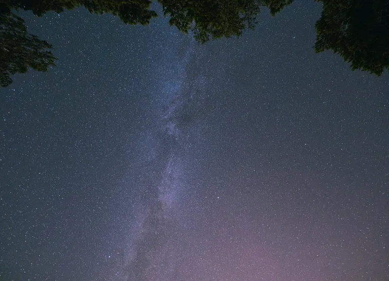 Tablou Canvas, "Freamătul infinit al stelelor albastre", Stele, Cer, Noapte, Pădure, Galaxie, Lumină, Univers, Mister, Infinit, Frumusețe, 54 x 39 cm – poza 2