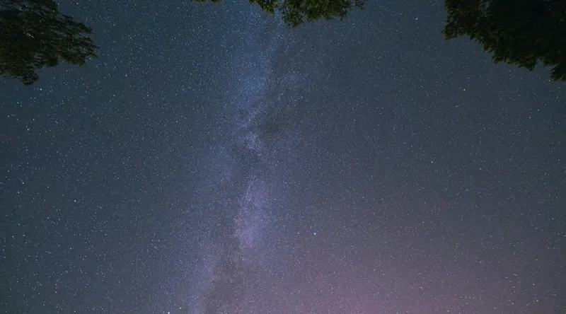 Tablou Canvas, "Freamătul infinit al stelelor albastre", Stele, Cer, Noapte, Pădure, Galaxie, Lumină, Univers, Mister, Infinit, Frumusețe, 90 x 50 cm – poza 2