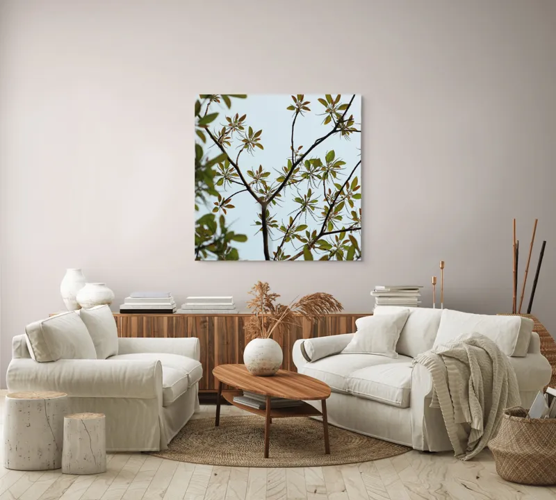 Tablou Canvas, "Frumusețea tinereții naturii surprinsă", Frunze, Ramuri, Verdeață, Cer, Natură, 100 x 100 cm – poza 3