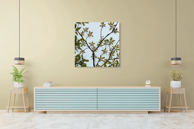 Tablou Canvas, "Frumusețea tinereții naturii surprinsă", Frunze, Ramuri, Verdeață, Cer, Natură, 100 x 100 cm – poza 5