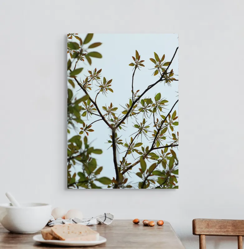 Tablou Canvas, "Frumusețea tinereții naturii surprinsă", Frunze, Ramuri, Verdeață, Cer, Natură, 50 x 70 cm – poza 3