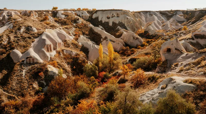 Tablou Canvas, "Peisaj de toamnă în Cappadocia", Peisaj, Rocă, Vegetație, Toamnă, Dealuri, Culoare, Natură, Sălbăticie, Pădure, Texturi, 90 x 50 cm – poza 2