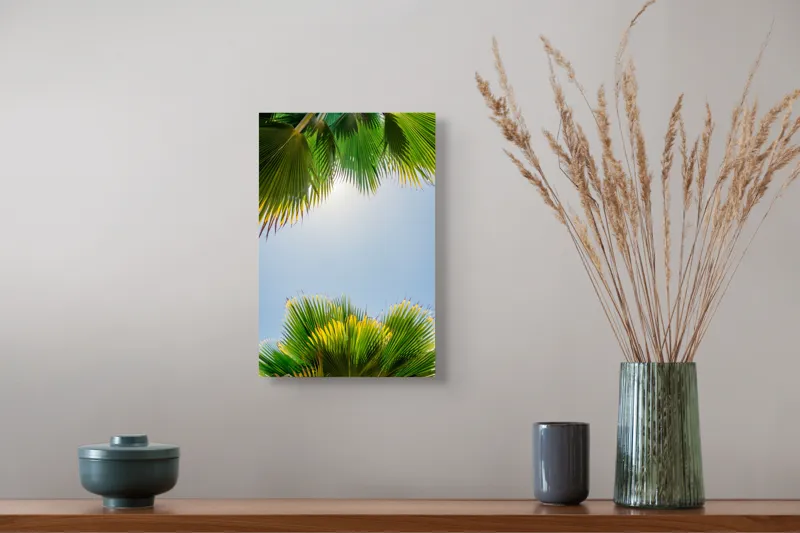 Tablou Canvas, "Frunzele palmierului in lumina soarelui", Frunze, Palmieri, Cer, Senin, Soare, Verde, Lumina, Vara, Tropical, Relaxare, 26 x 39 cm – poza 5