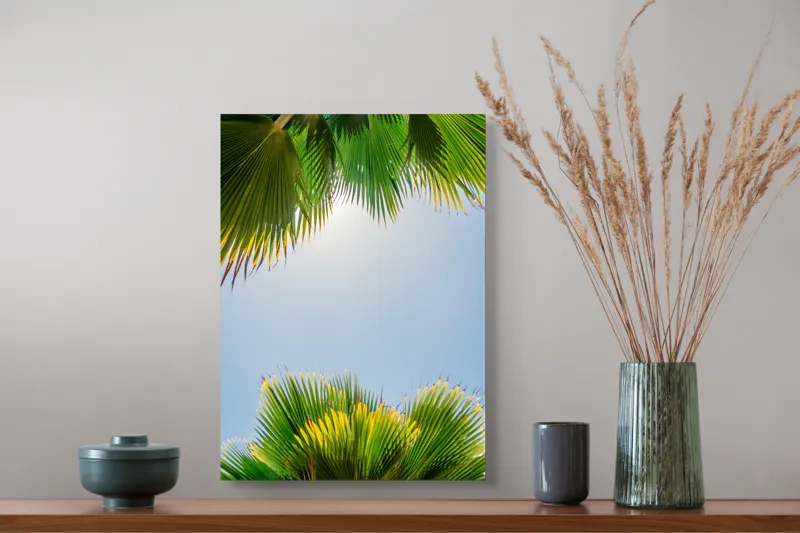 Tablou Canvas, "Frunzele palmierului in lumina soarelui", Frunze, Palmieri, Cer, Senin, Soare, Verde, Lumina, Vara, Tropical, Relaxare, 39 x 54 cm – poza 3