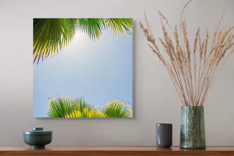 Tablou Canvas, "Frunzele palmierului in lumina soarelui", Frunze, Palmieri, Cer, Senin, Soare, Verde, Lumina, Vara, Tropical, Relaxare, 50 x 50 cm – poza 4