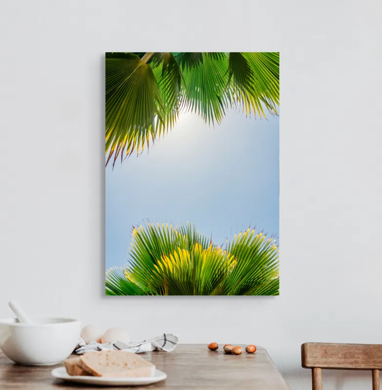 Tablou Canvas, "Frunzele palmierului in lumina soarelui", Frunze, Palmieri, Cer, Senin, Soare, Verde, Lumina, Vara, Tropical, Relaxare, 50 x 70 cm – poza 3