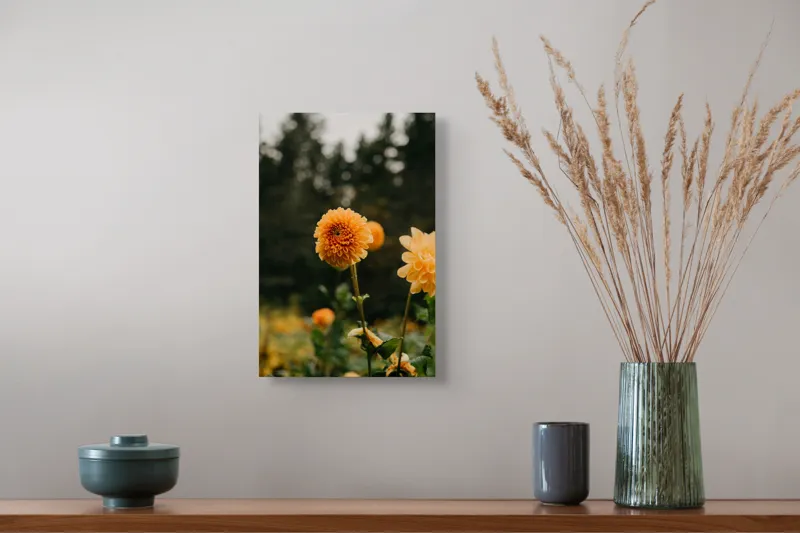 Tablou Canvas, "Galbenul florilor de toamnă liniștită", Florile, Galbene, Naturale, Vesele, Elegante, Strălucitoare, Proaspete, Fragede, Armonioase, Pline, Frumuseţe, Vegetaţie, Mediu, Împăduriţi., 26 x 39 cm – poza 5