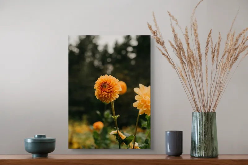 Tablou Canvas, "Galbenul florilor de toamnă liniștită", Florile, Galbene, Naturale, Vesele, Elegante, Strălucitoare, Proaspete, Fragede, Armonioase, Pline, Frumuseţe, Vegetaţie, Mediu, Împăduriţi., 39 x 54 cm – poza 3