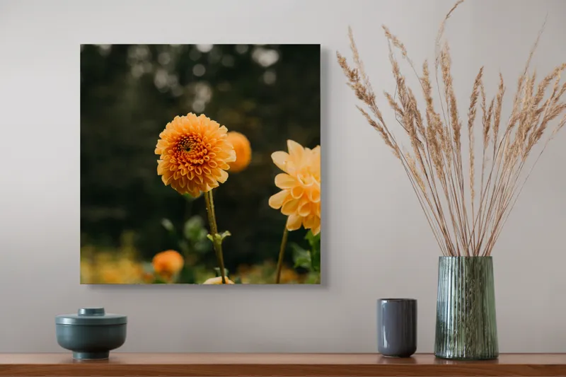 Tablou Canvas, "Galbenul florilor de toamnă liniștită", Florile, Galbene, Naturale, Vesele, Elegante, Strălucitoare, Proaspete, Fragede, Armonioase, Pline, Frumuseţe, Vegetaţie, Mediu, Împăduriţi., 50 x 50 cm – poza 4