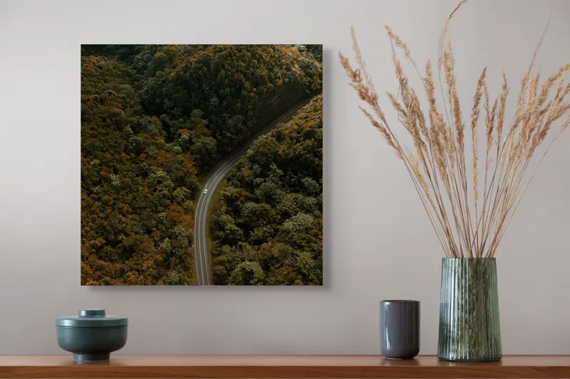 Tablou Canvas, "Drumul șerpuitor prin pădurea deasă", Drum, Pădure, Verdeață, Serpentină, Natură, 50 x 50 cm – poza 4