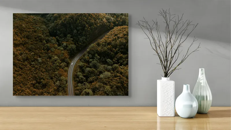 Tablou Canvas, "Drumul șerpuitor prin pădurea deasă", Drum, Pădure, Verdeață, Serpentină, Natură, 70 x 50 cm – poza 3