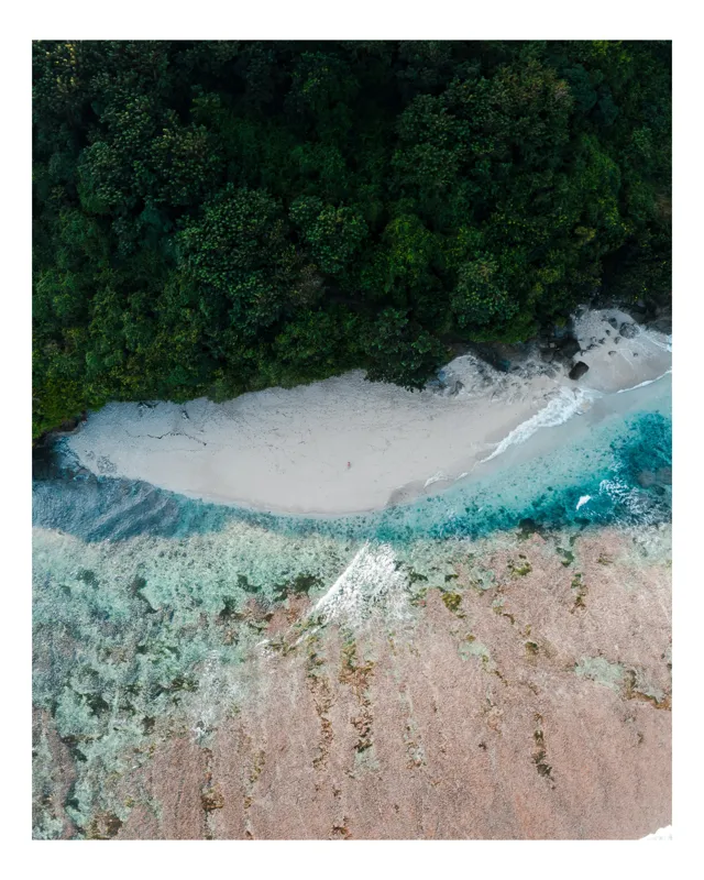 Tablou Canvas, Peisaj cu Pădure și Mare, , Multicolor, 50 x 90 cm