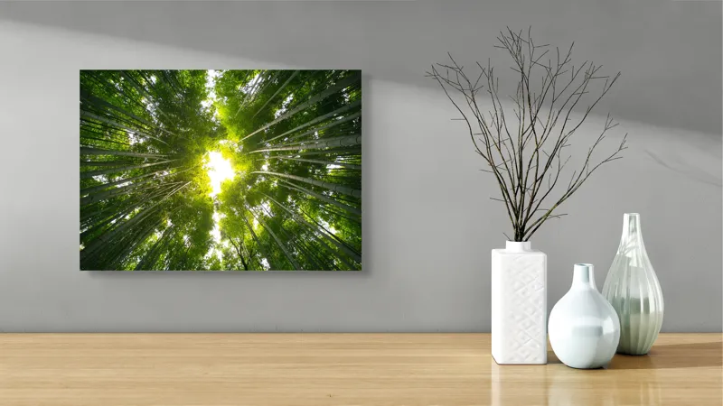 Tablou Canvas, Pădure Verde cu Lumină Naturală, 54 x 39 cm – poza 3
