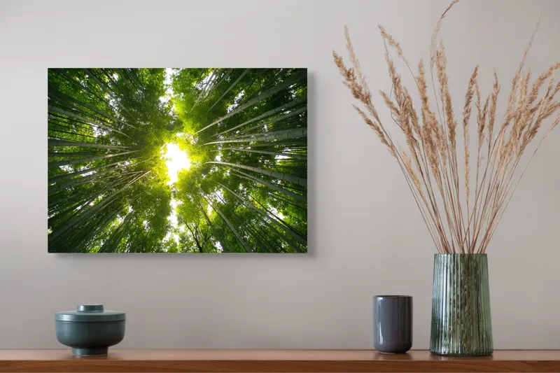 Tablou Canvas, Pădure Verde cu Lumină Naturală, 54 x 39 cm – poza 4